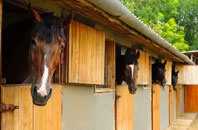 free Lauder stable construction quotes
